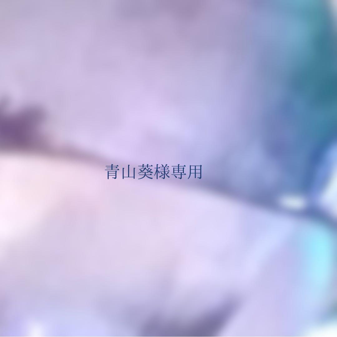 青山葵専用　鉱石ピアス19点