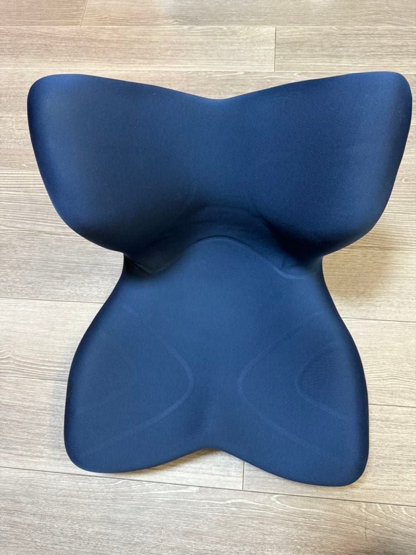 【リクエスト】スタイル プレミアム シリーズMTG エムティージー 骨盤サポート