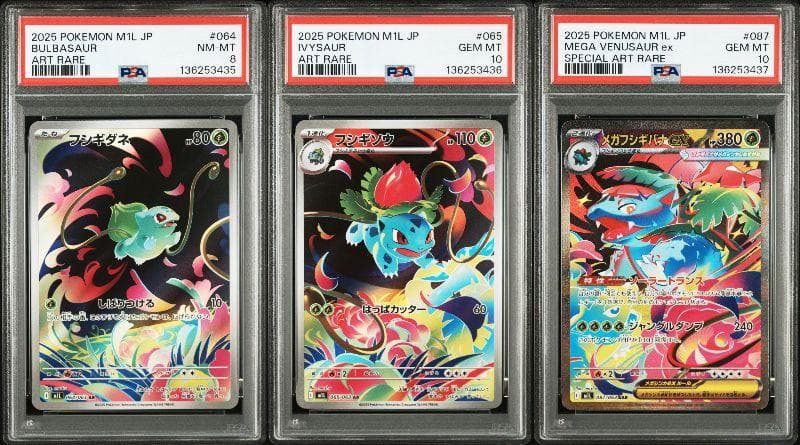 PSA8 10 連番 フシギダネ フシギソウ メガフシギバナex メガブレイブ