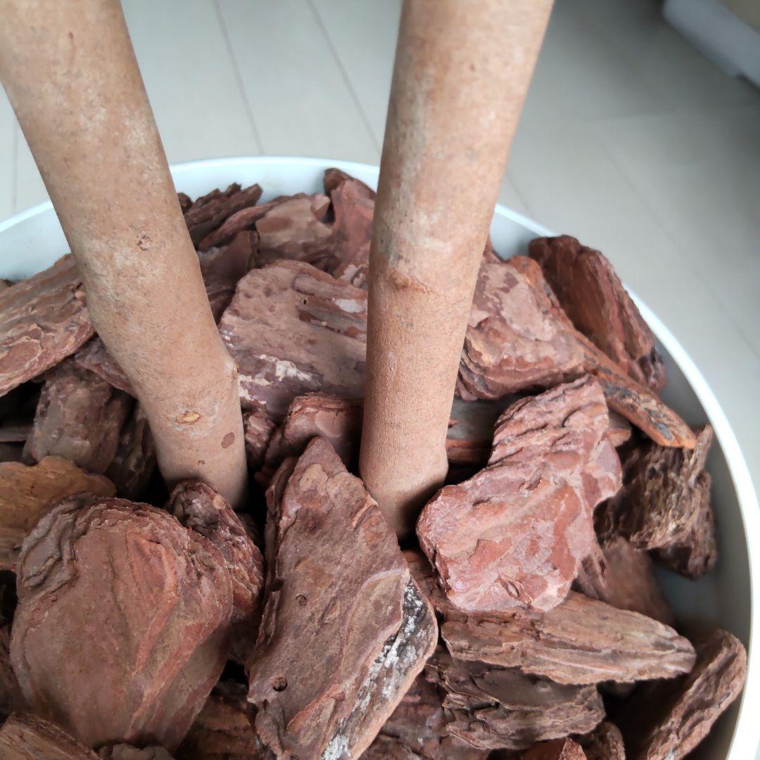 ユーカリの木130cm タイプ！銀丸葉 ！ 大型フェイクプランツ！ 未使用