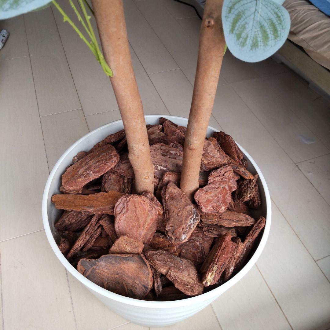 ユーカリの木130cm タイプ！銀丸葉 ！ 大型フェイクプランツ！ 未使用