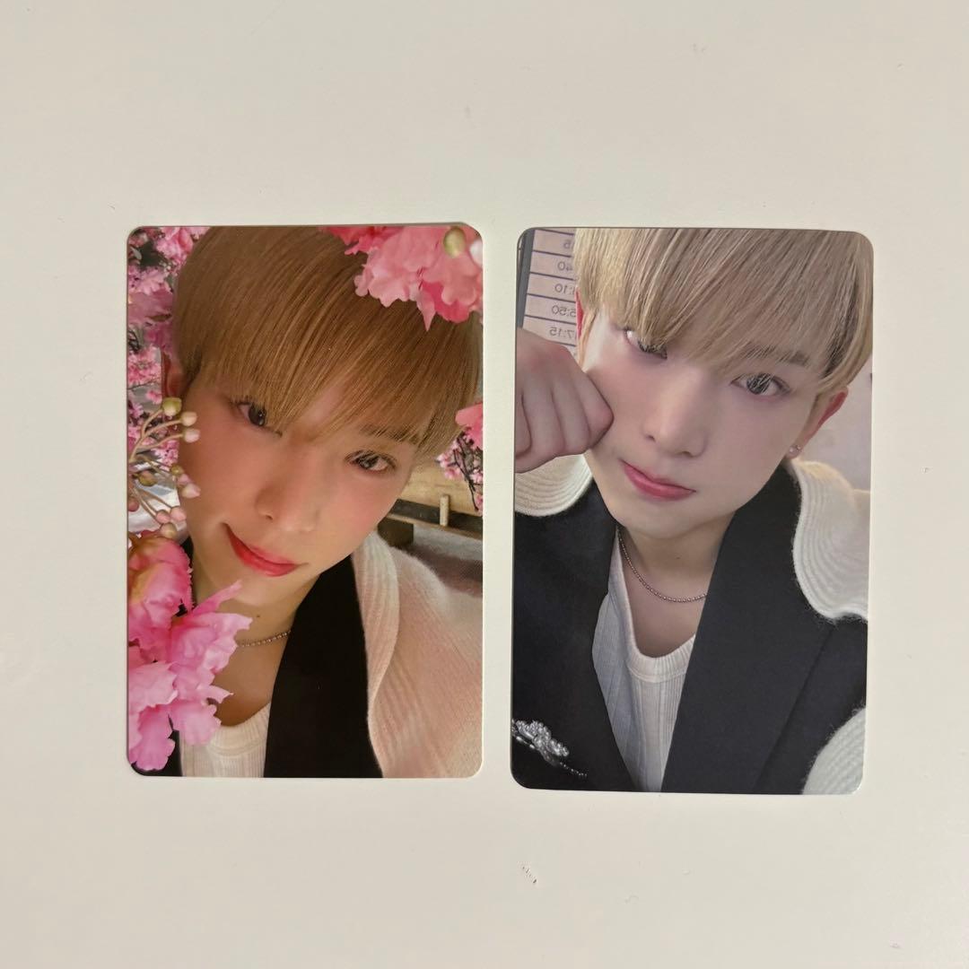 &TEAM ハルア HARUA 雪明かり ラキドロ トレカ 通常盤 - メルカリ