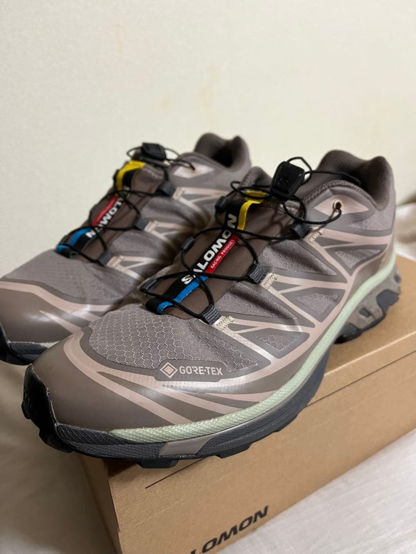 靴 Salomon xt6