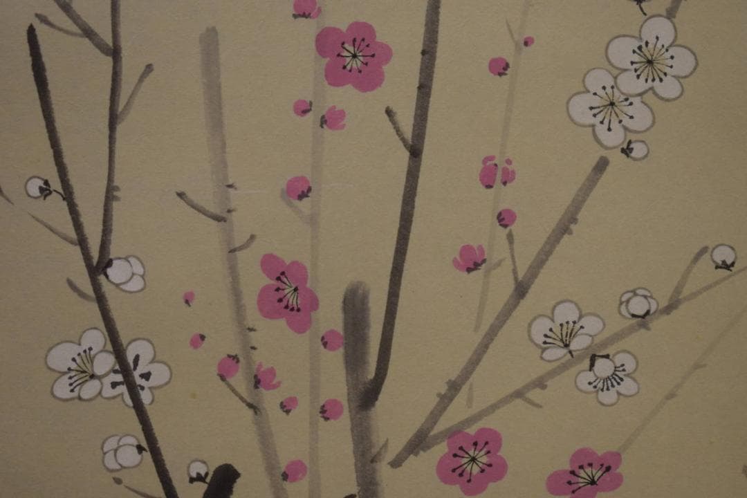 真作/斎藤翠紅/紅白梅鴬図/桐共箱付/布袋屋掛軸HI-911 - メルカリ