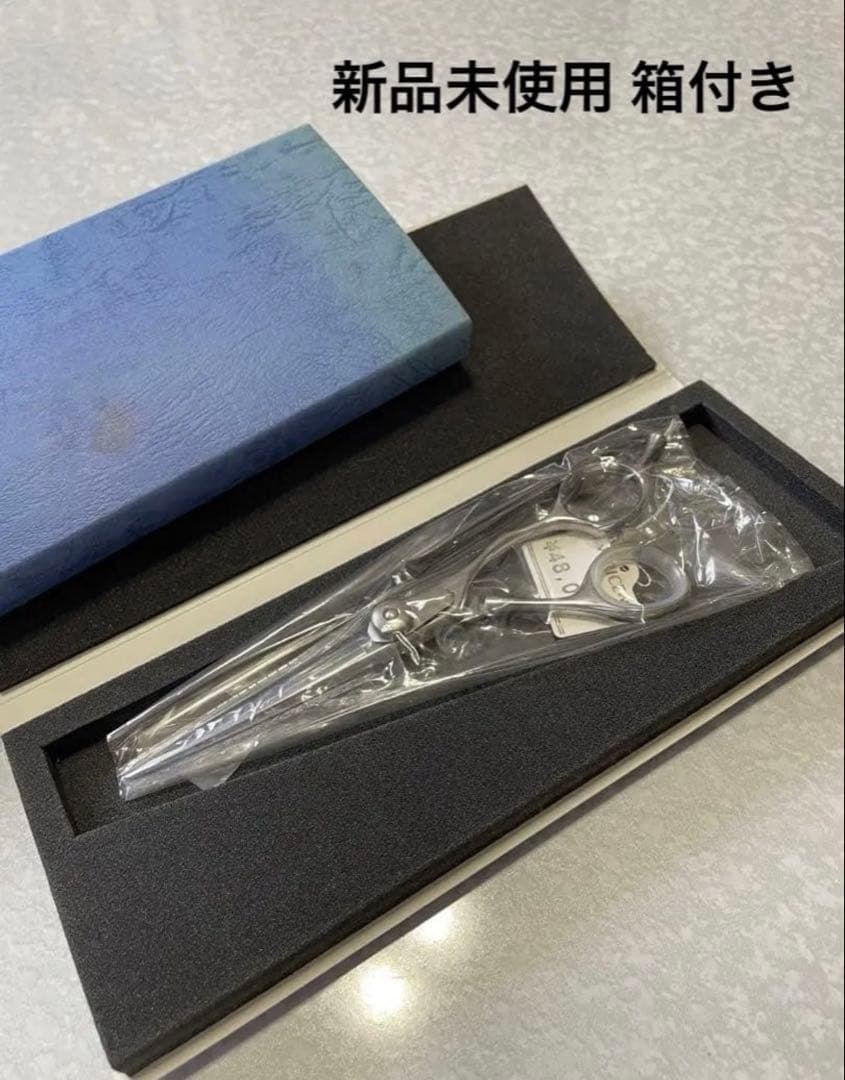 【新品未使用】美容師 ステンレス シザー 約6.0インチ 専用ケース付き