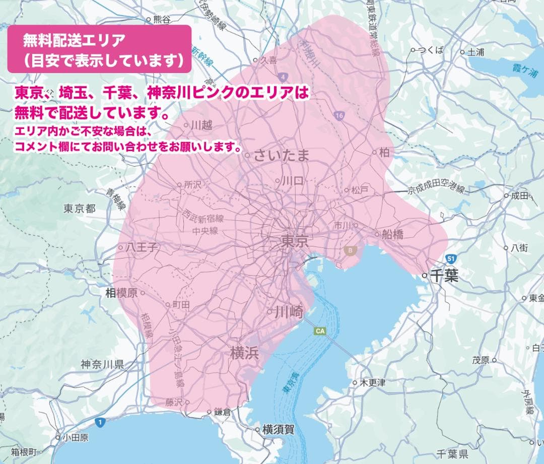 《PANASONIC》20インチ子供乗せ電動自転車ギュットNZ2606