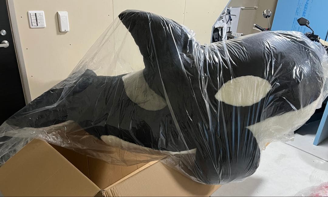 鴨川シーワールド　BIG シャチ　ぬいぐるみ