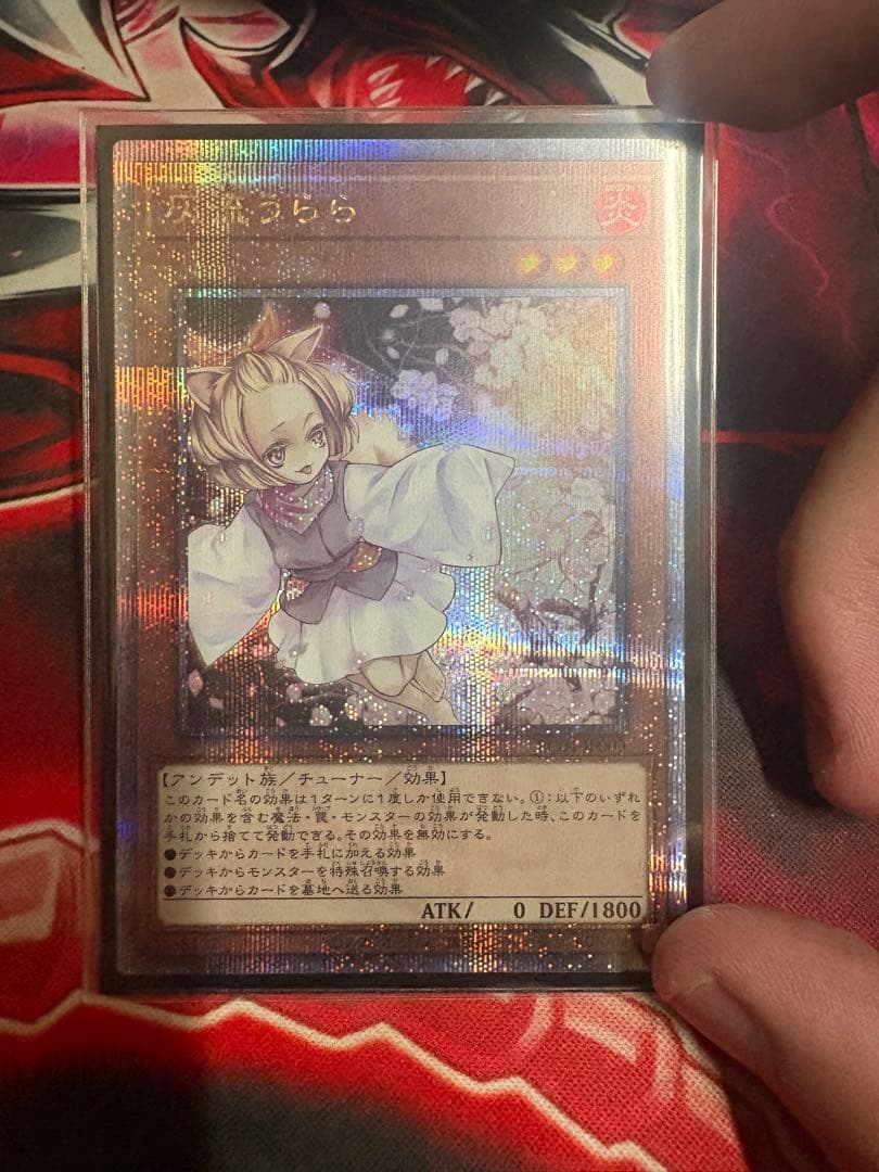 灰流うらら クオシク