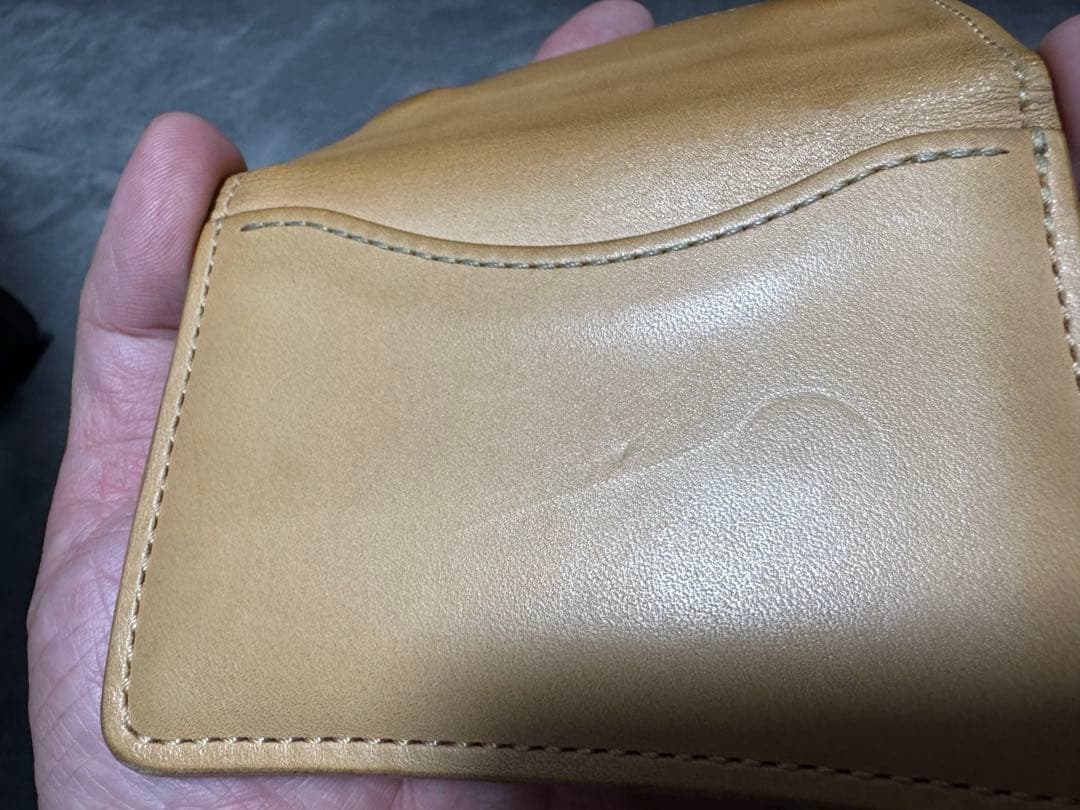 画竜点睛 様専用 WILDSWANS TONGUE - メルカリ