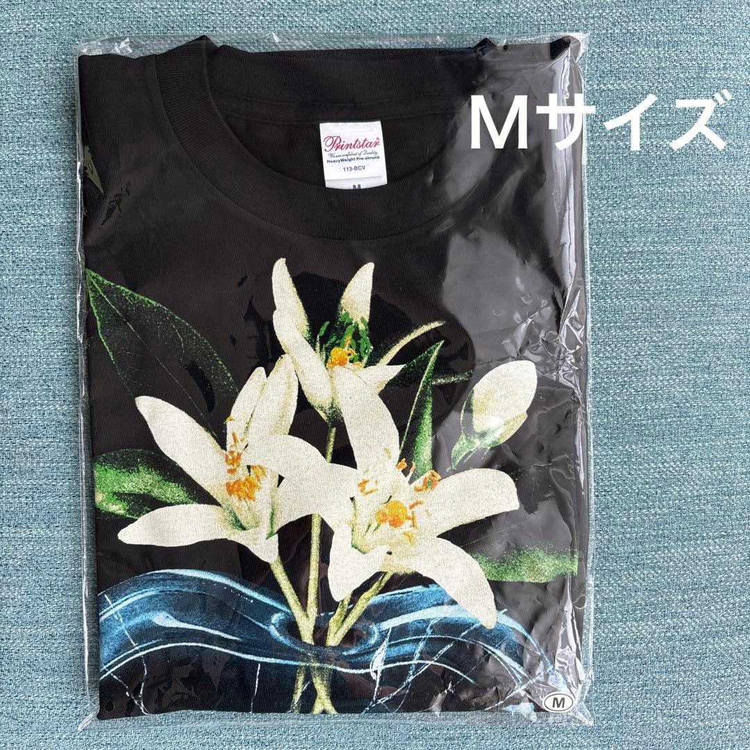 TENBLANK×©SAINT MxxxxxxセントマイケルコラボTシャツ M - メルカリ