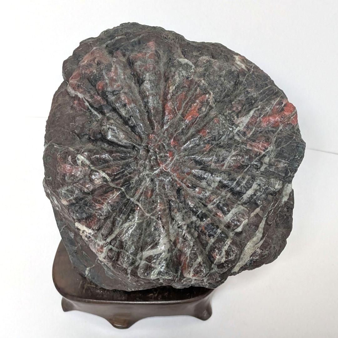 鑑賞石　オブジェ　置物 青森産錦石38.7キロ 庭石 鑑賞石 原石 宝石 オブジェ インテリア 置物