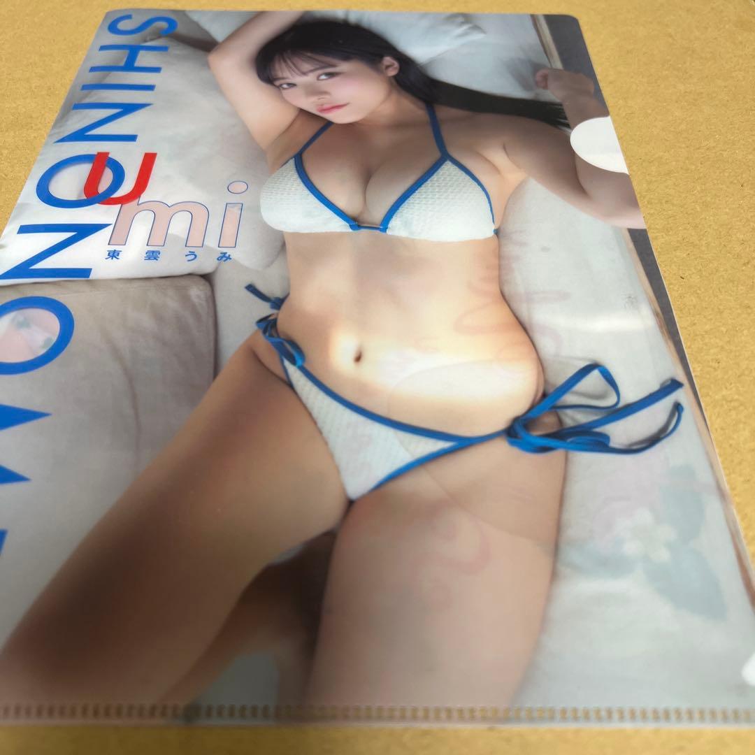 月刊少年チャンピオン東雲うみグラビアクリアファイル直筆チェキ応募券