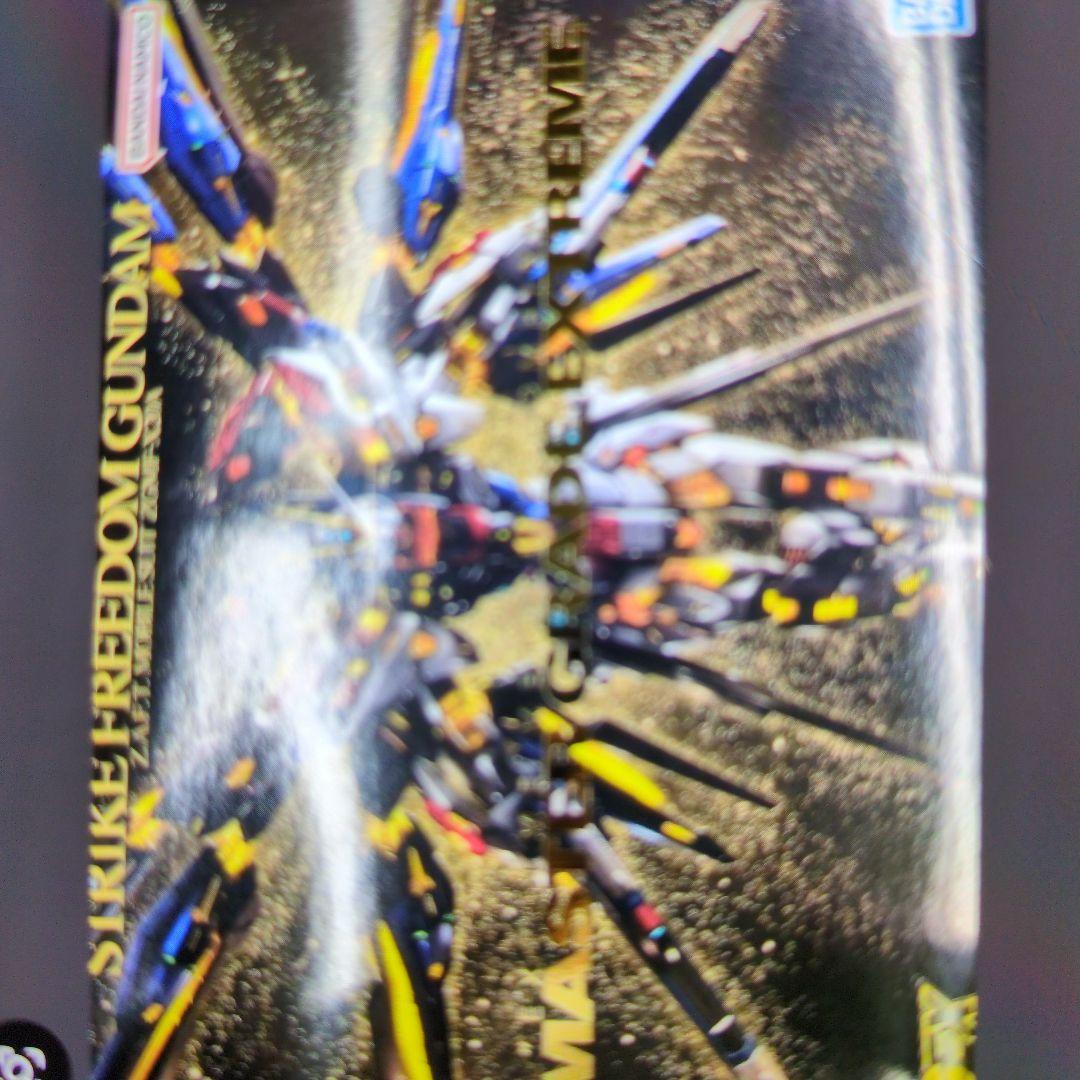 1/100MG EX.ZGMF-X20A.ストライクフリーダムガンダム。