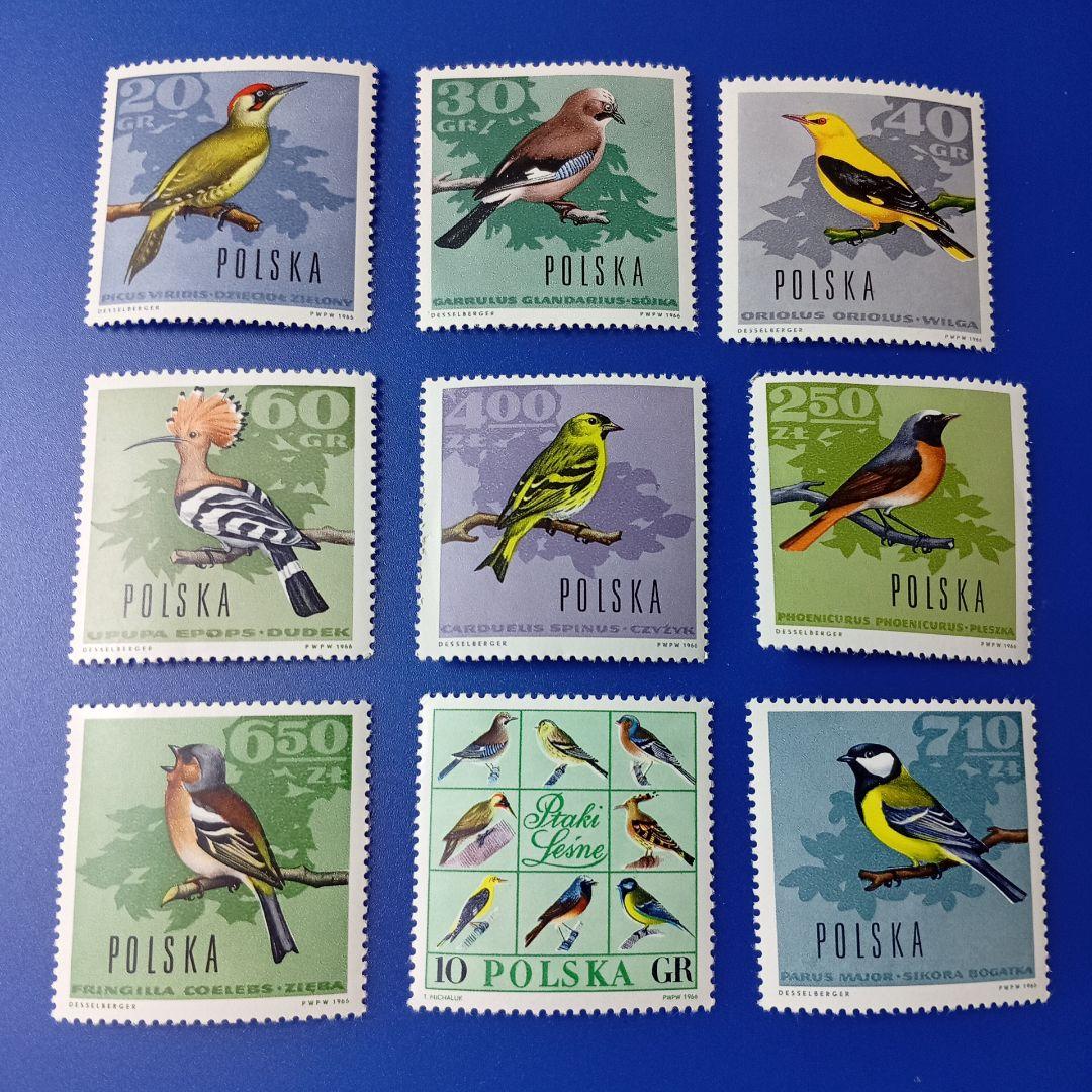 3249 外国切手 ポーランド 1966年 野鳥 14種 未使用