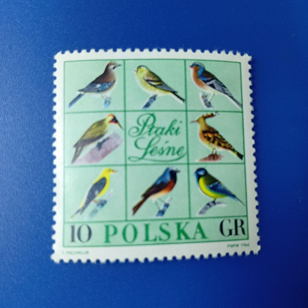 3249 外国切手 ポーランド 1966年 野鳥 14種 未使用