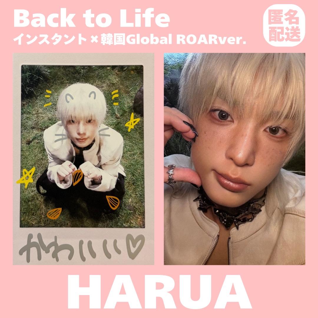&TEAM HARUA Back to Life 韓国 Global トレカ - メルカリ
