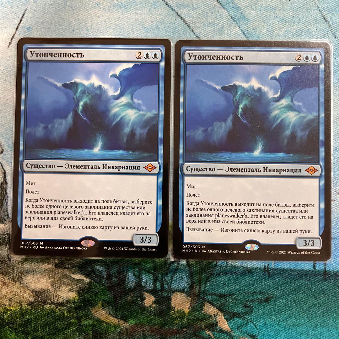 ロシア語　緻密　2枚