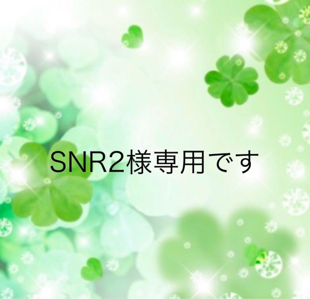 SNR2のページです 冷却効果が高いローターファンを搭載したドリフト用ブラシレスモーター