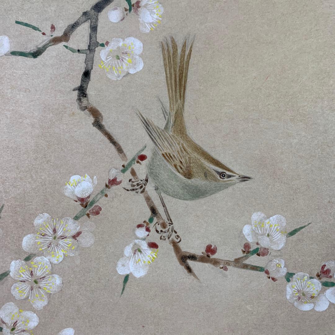 美品 掛け軸 本橋富夫作 紅白梅図 共箱 縁起物 - メルカリ