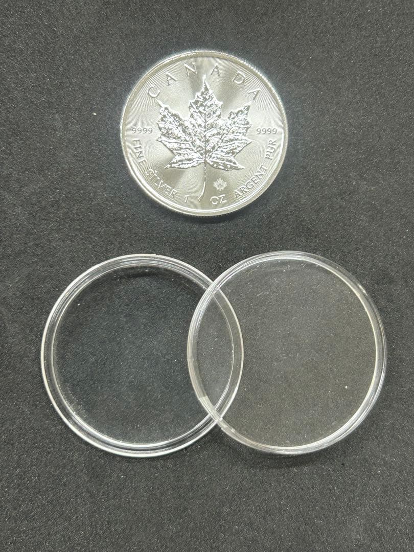 メイプルリーフ　1オンス 銀貨 エリザベス2世 2021年　ランダム 2021年 カナダ メイプルリーフ 1oz 5ドル 銀貨 エリザベス2世 NGC社