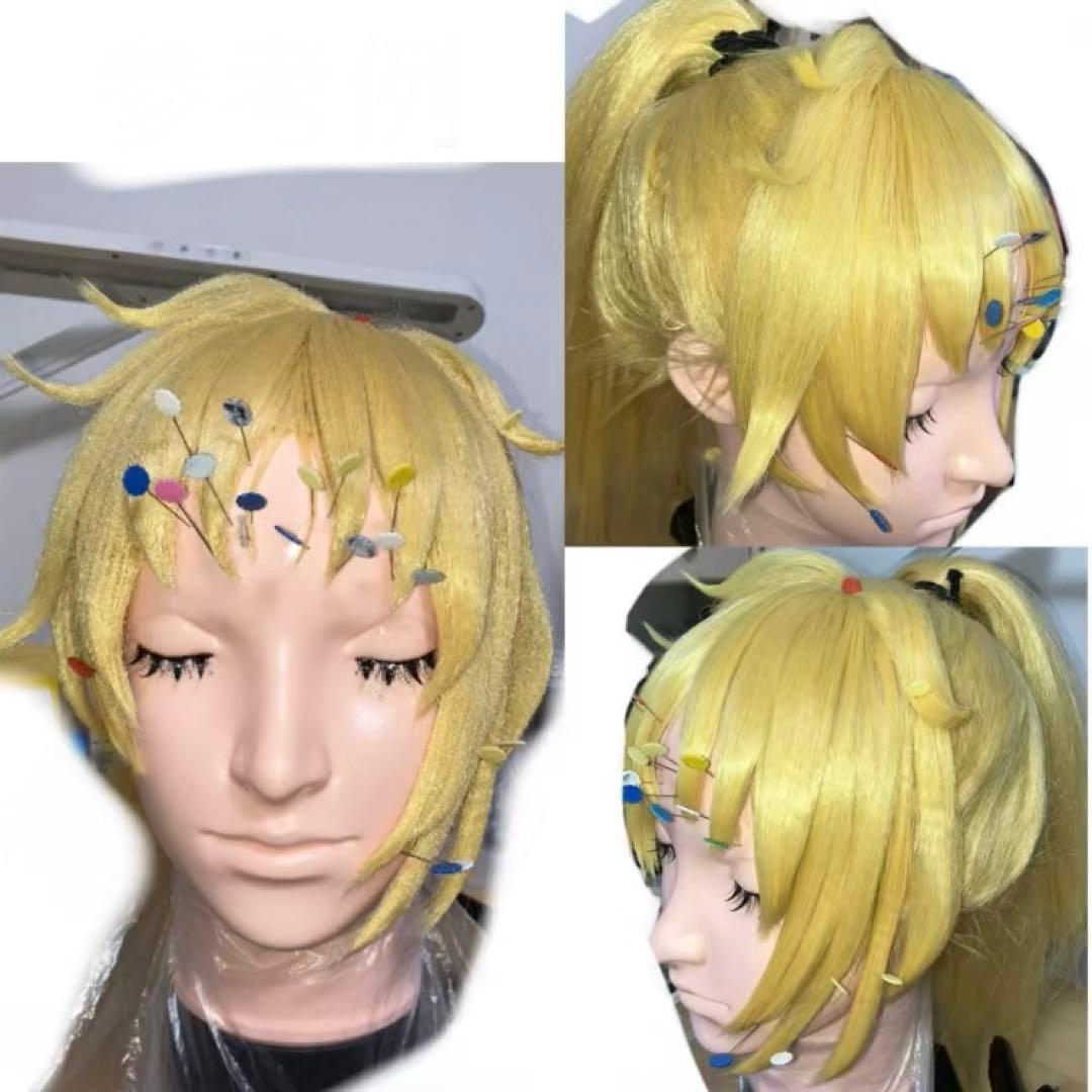 忍たま乱太郎　斉藤タカ丸　コスプレ　ウィッグ