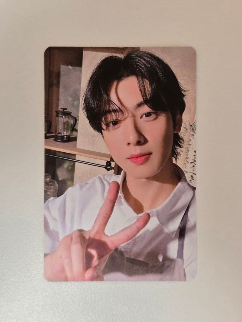 チャウヌ MYSTERY ELEVATOR シンガポール 公演限定 トレカ