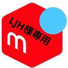 サイズL シャンパン 24本強化スチールボーン アンダーバスト コルセット