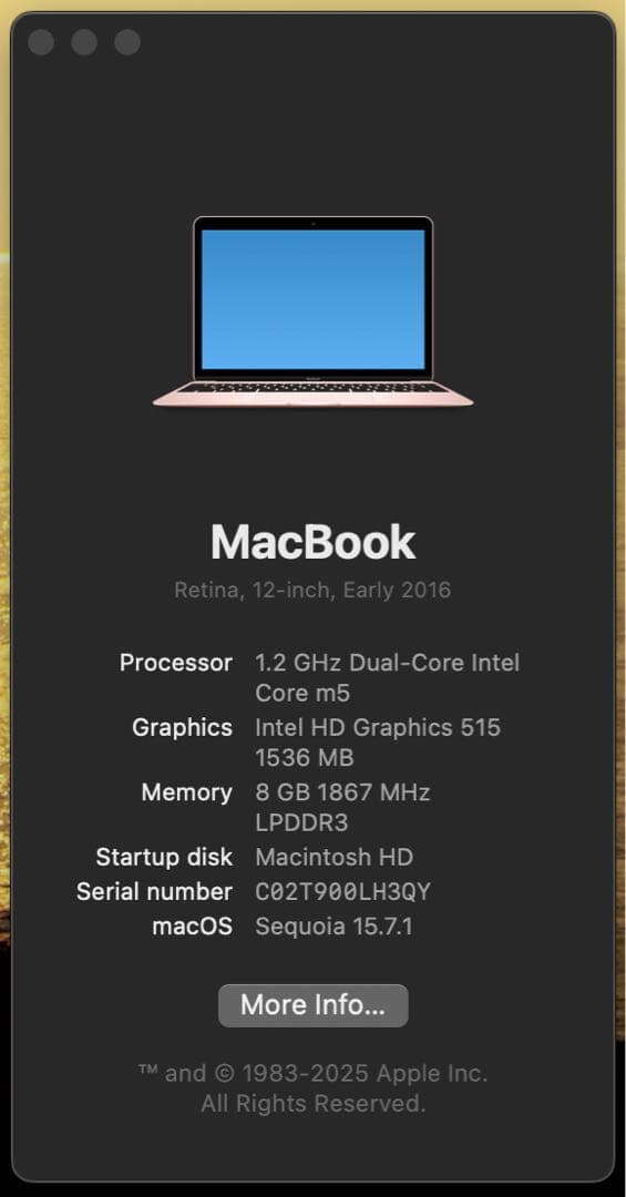 MacBook本体 MacBook Retina A1534 Early2016 m5/8/512