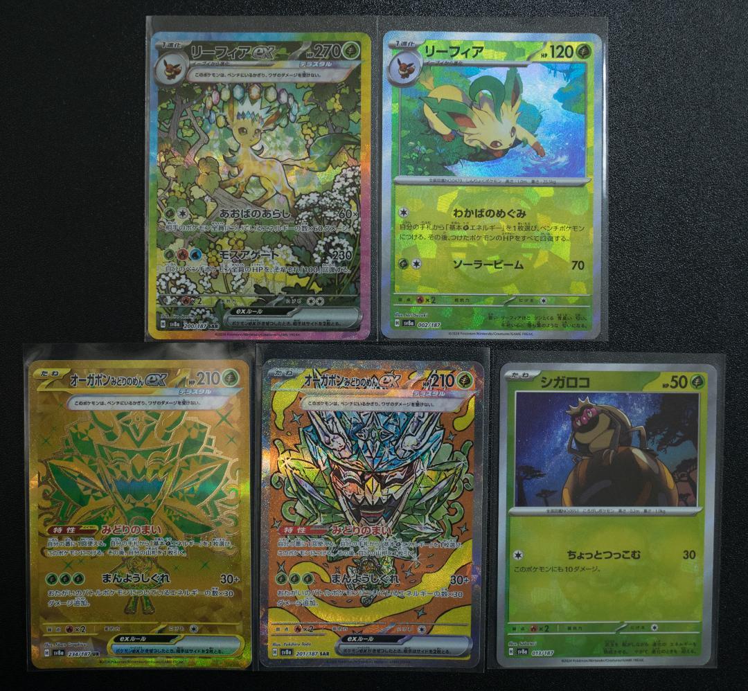 テラスタルフェス草セット