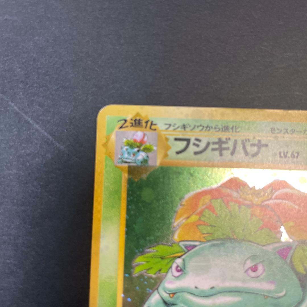 フシギバナ ☆ 第1弾拡張パック 旧裏 - ポケモンカードゲーム公式 ストア