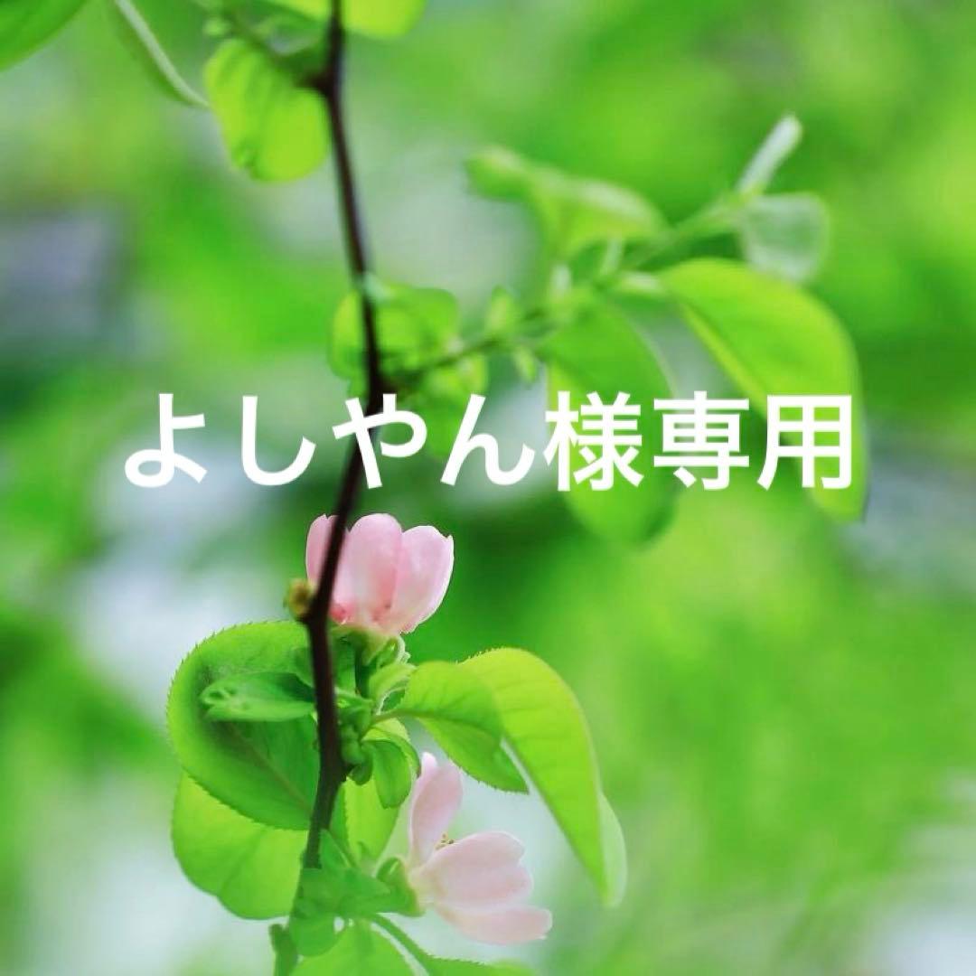 よしやんです。ダウンジャケットSサイズ