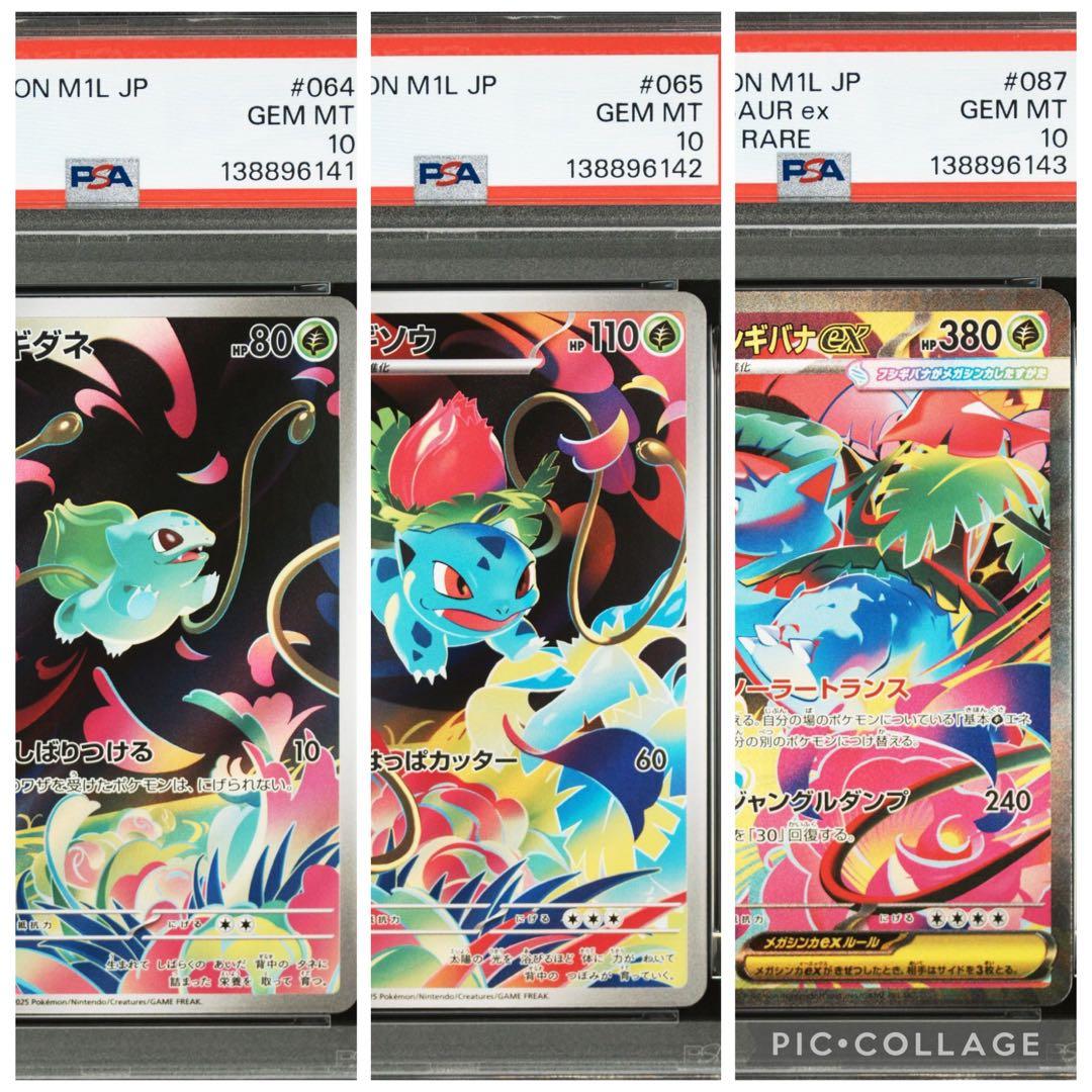 【PSA10 3連番】フシギダネAR•フシギソウAR•メガフシギバナex sar PSA10 3連番フシギダネ フシギソウ AR メガフシギバナex SAR - メルカリ