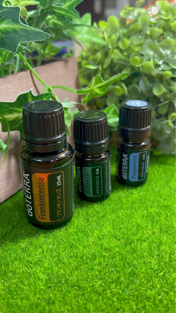 【SALE】新品　ドテラ　フランキンセンス　ペパーミント　バランス