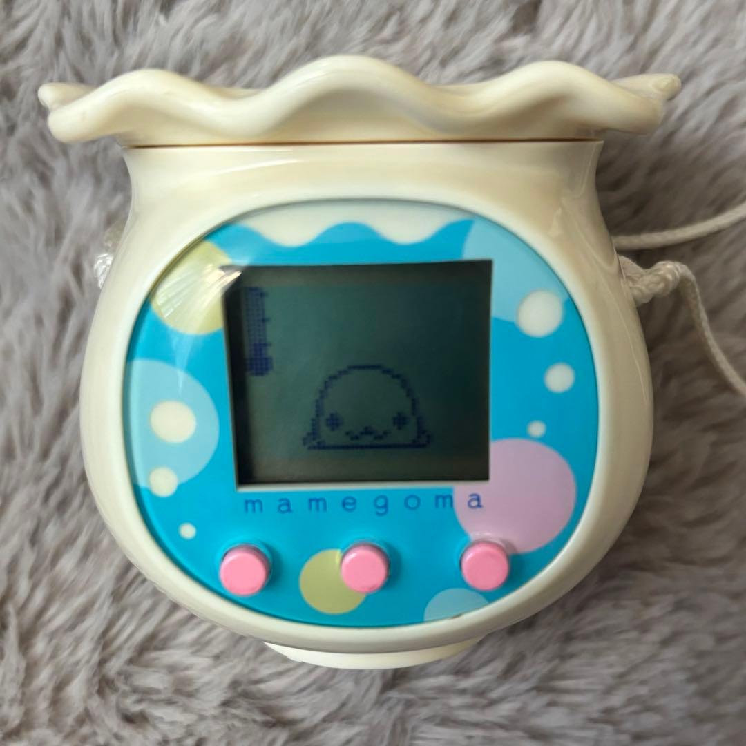 まめゴマ 飼育日記