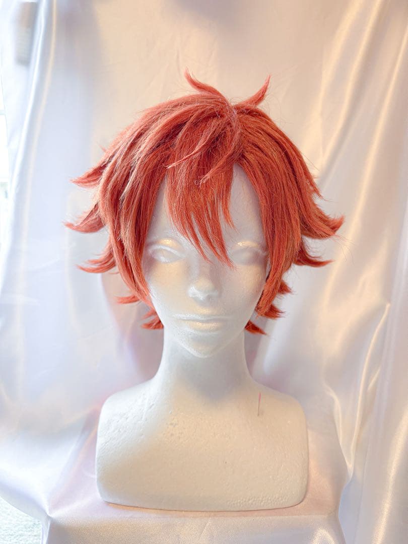 サンプル】ツイステ エース トラッポラ ウィッグ - メルカリ