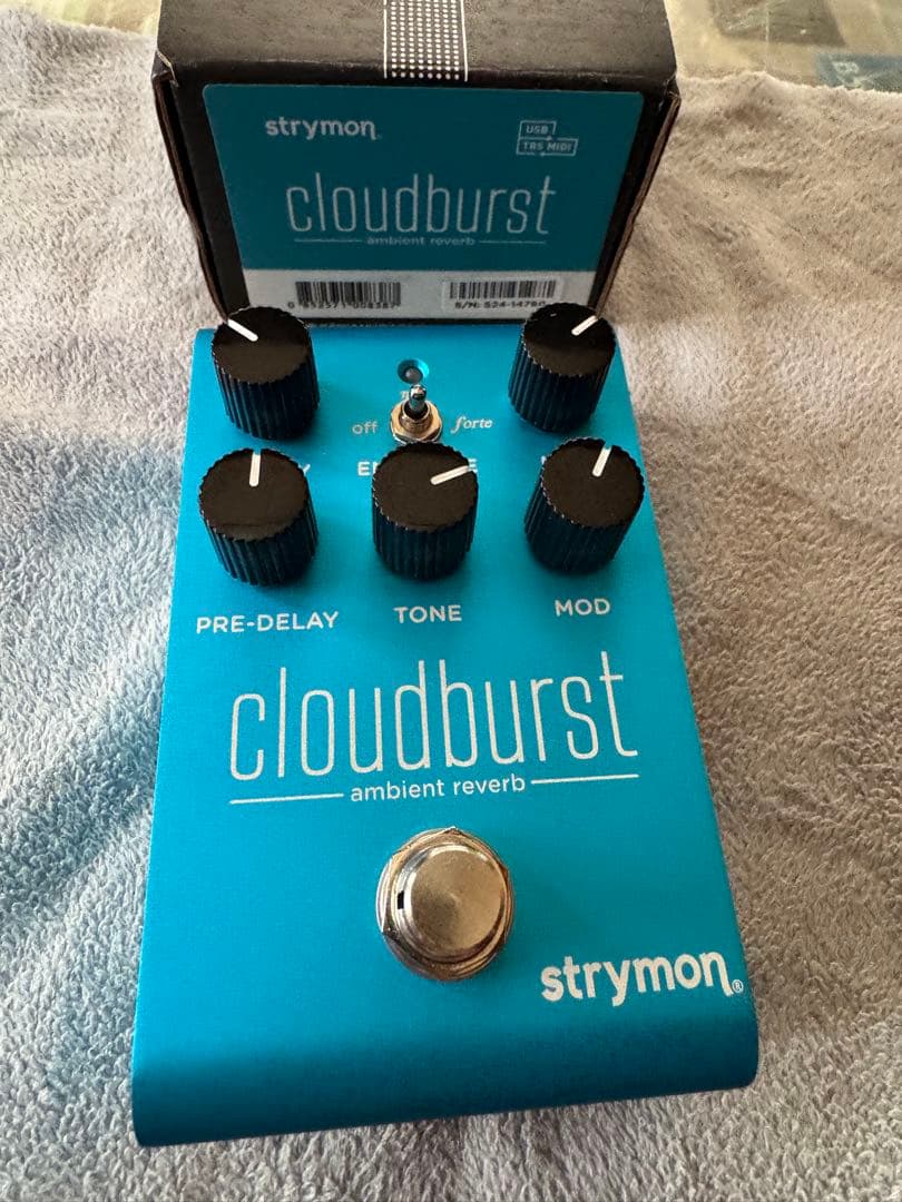 strymon cloudburst ギターエフェクター - メルカリ