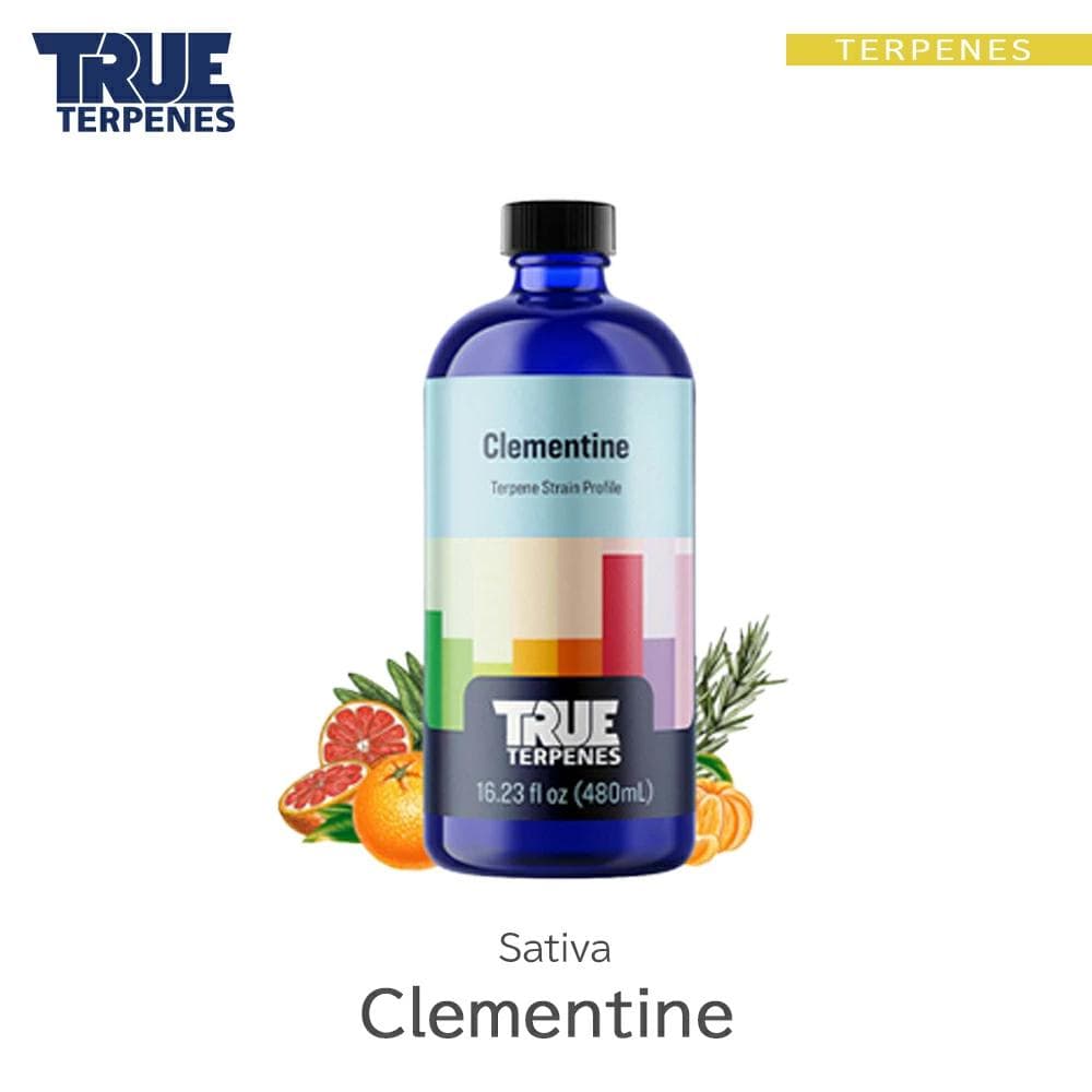 TRUE テルペン 510 CBD CBN CBG 10ml クレメンタイン