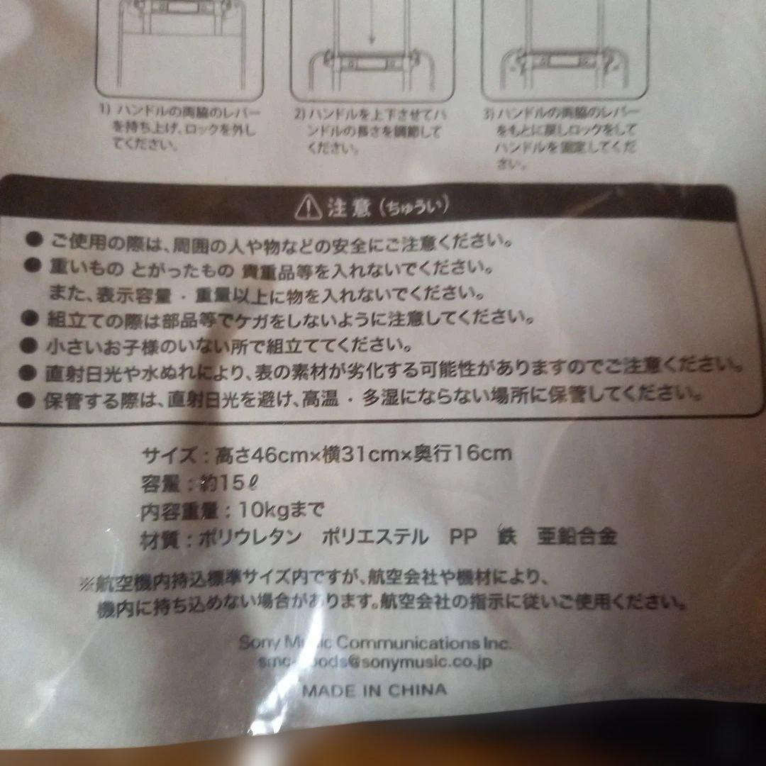 VAMPS☆キャリーバック ＆ L'Arc☆写真集