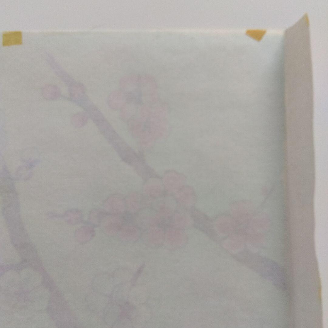 展示済】梅の花 梅 枝 桃色 白色 バラ科サクラ属 Prunus mume