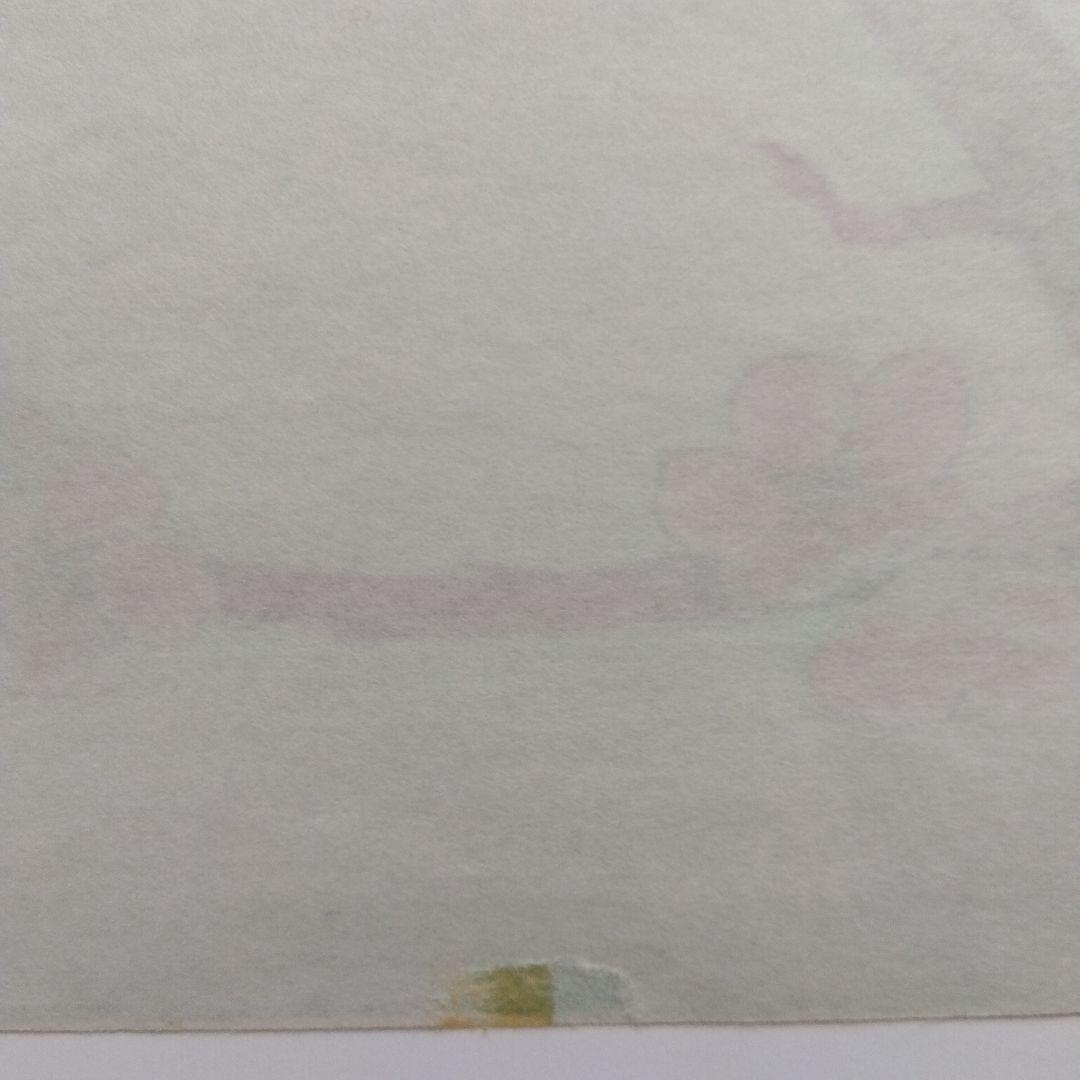 展示済】梅の花 梅 枝 桃色 白色 バラ科サクラ属 Prunus mume