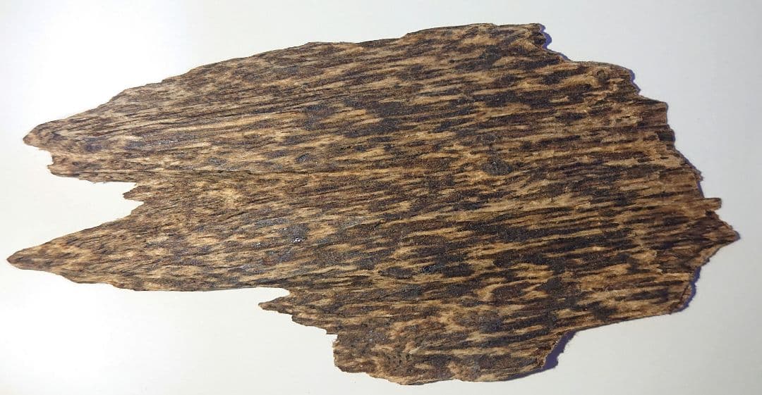 香木 沈香 伽羅 聞香◎品名 金伽羅