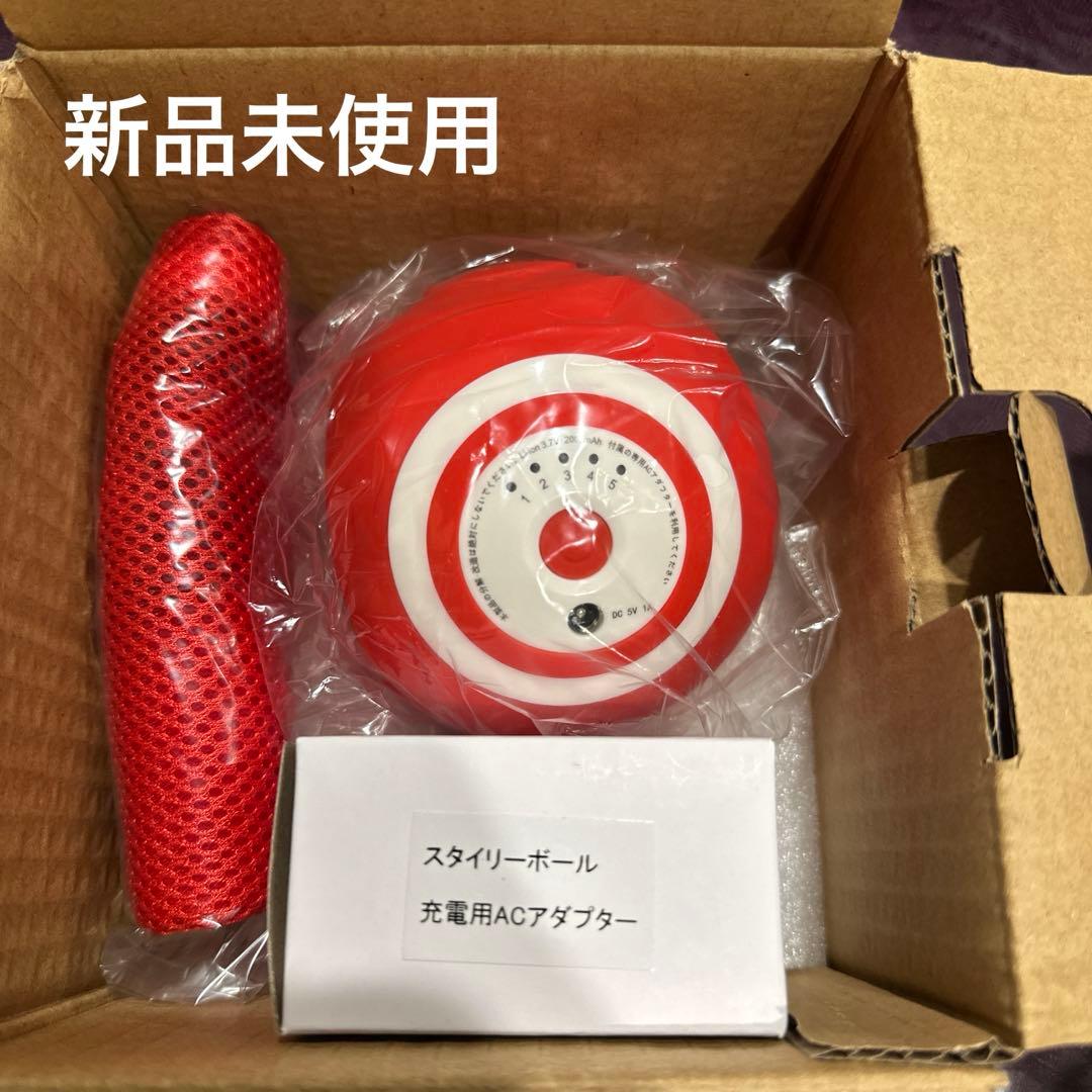 新品未使用】OASIS フィットネスクラブがつくったスタイリーボール