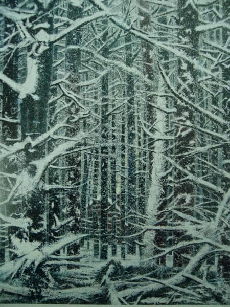 岡鹿之助、【林】、希少な大判額装用画集より、美品、日本人画家、新品