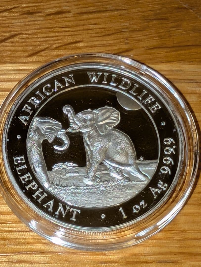 アフリカンワイルドライフ エレファント 1 oz 銀貨 2024年