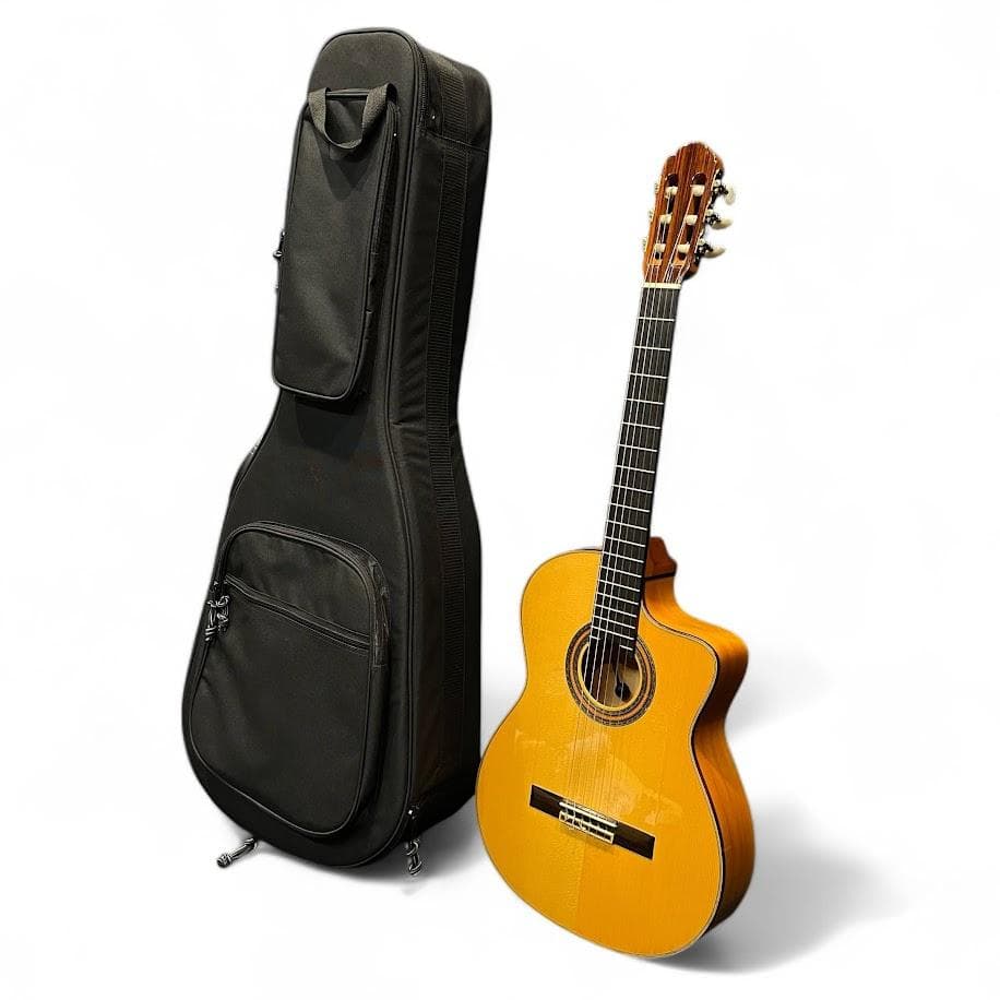 極美品○Aria アリア○ ピックアップ付 クラシックギター 専用ケース付