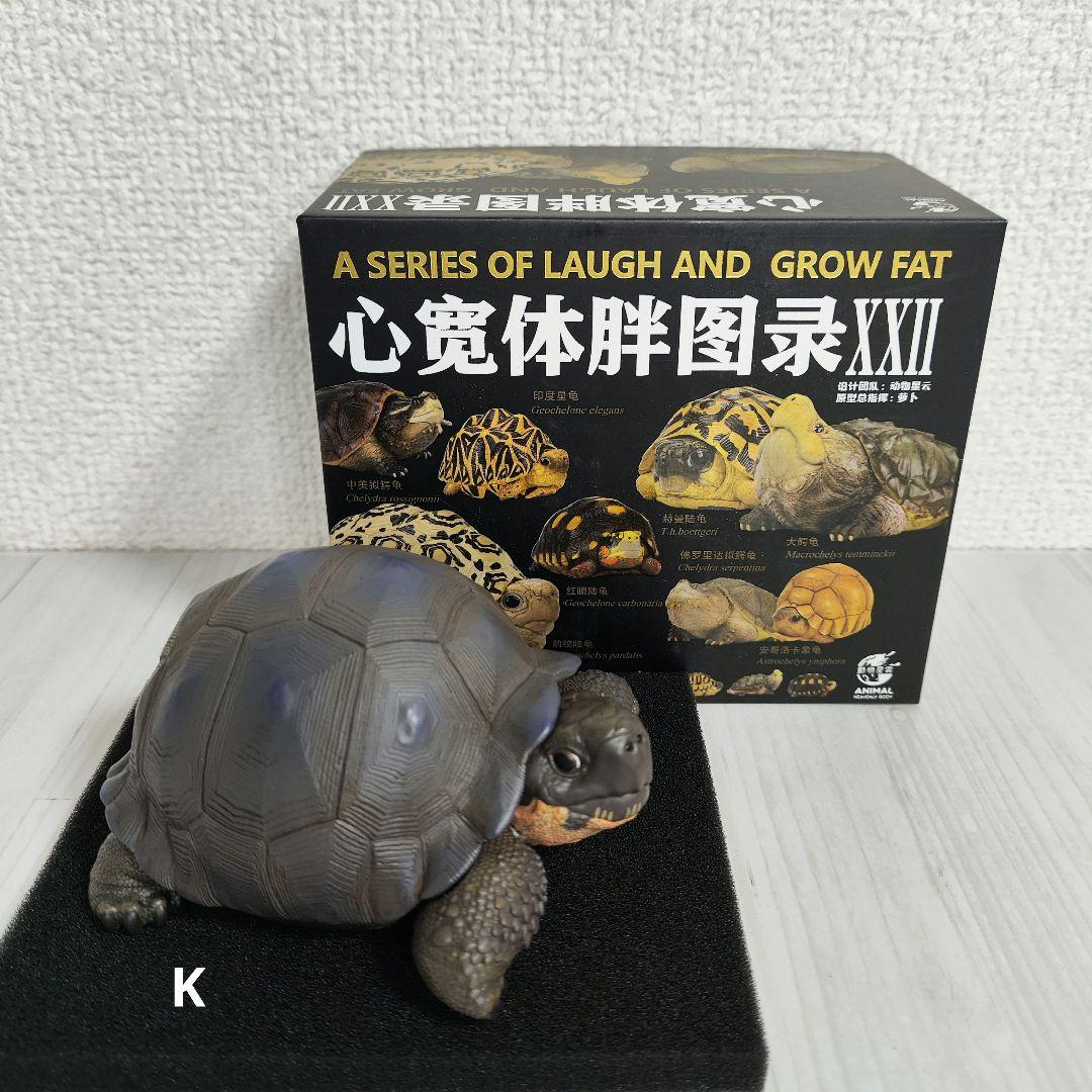 【動物の惑星】レア★ガラパゴスゾウガメ（シークレット）★フィギュア