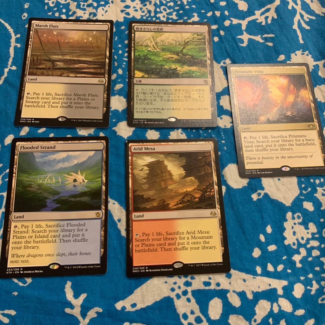 フェッチまとめ売り　湿地の干潟吹きさらしの荒野乾燥台地溢れかえる岸辺虹色の眺望 フェッチランド - MTG専門店 Initiative
