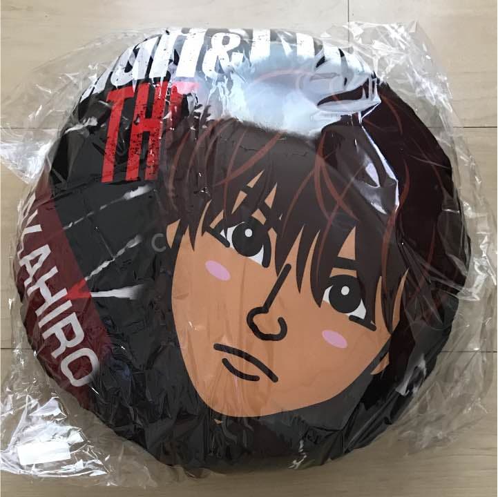 TAKAHIRO クッション tetra NATURA -京都の寝具メーカーが作る、室内でも屋外でも使える