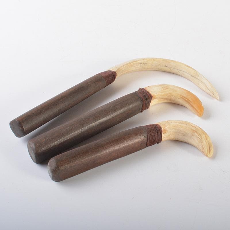 古民芸　イノシシ　猪牙　ちょき　根付　三点　検石見根付　V　6606