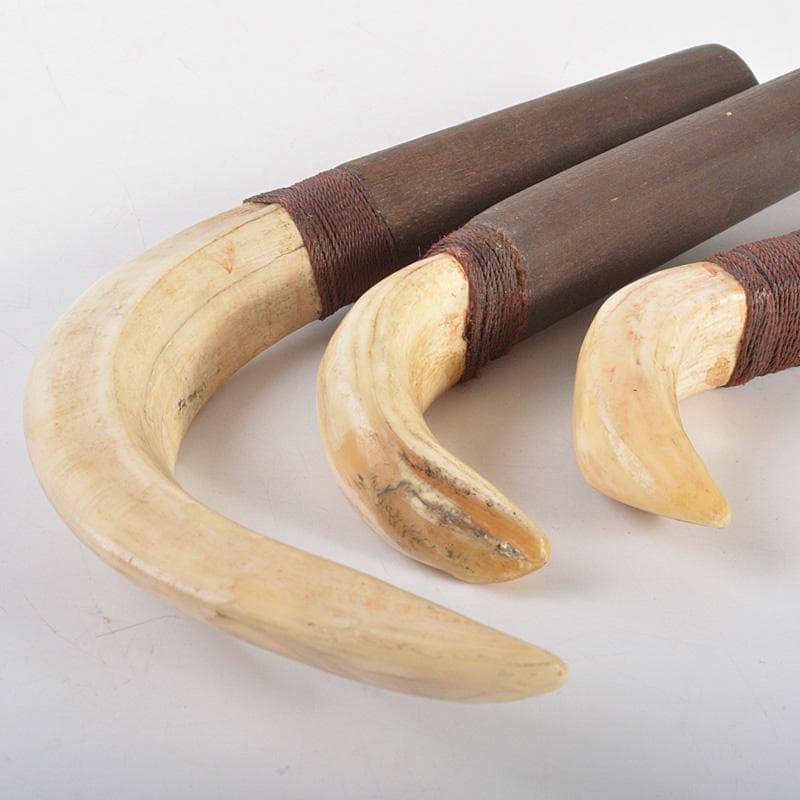 古民芸 イノシシ 猪牙 ちょき 根付 三点 検石見根付 V 6606 - メルカリ